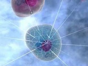 荆州市中心医院试管婴儿挂号策略，如何挂，挂什么科室分析